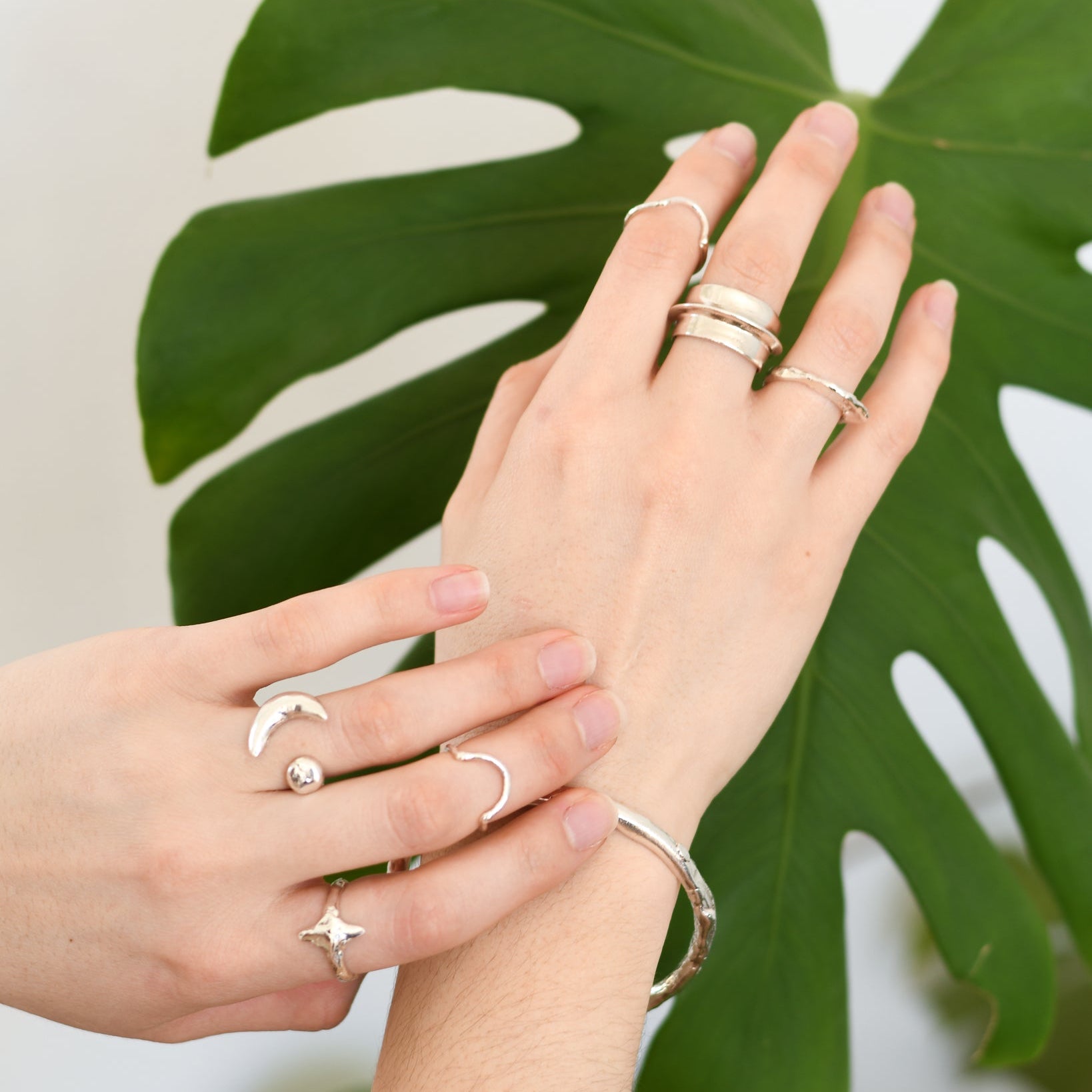 Two hands with multiple silver rings against a green leaf background
