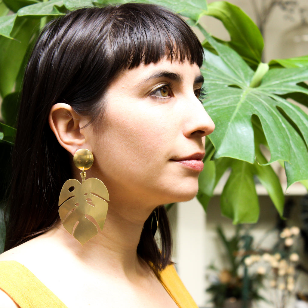 Monstera Leaf